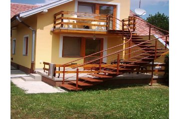 Ungārija Privát Bük, Eksterjers